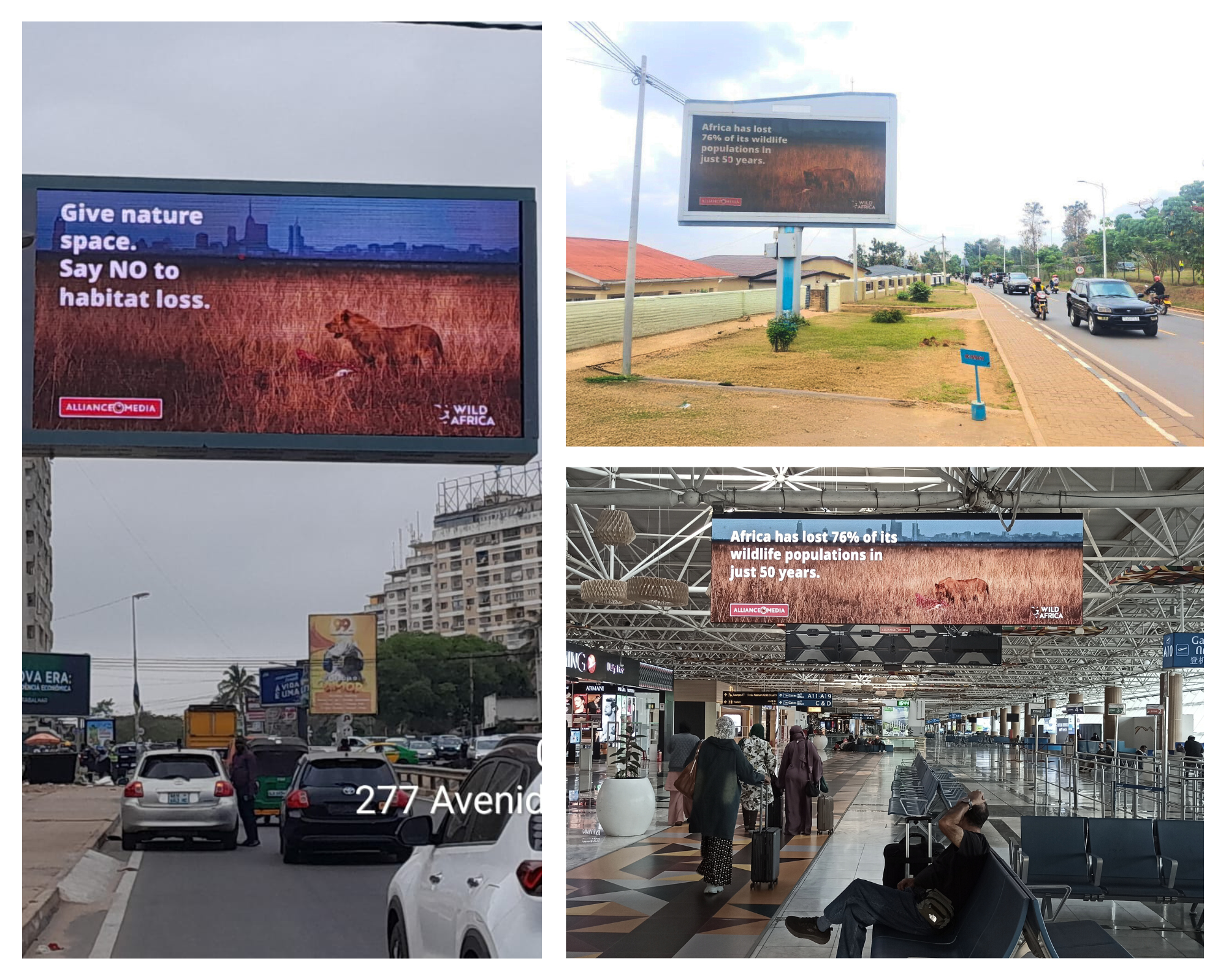 Alliance Media billboards showcasing World Habitat Day messaging. 