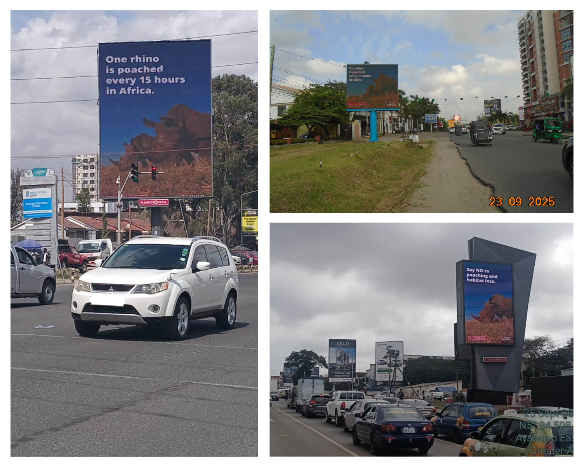Alliance Media billboards for World Rhino Day.