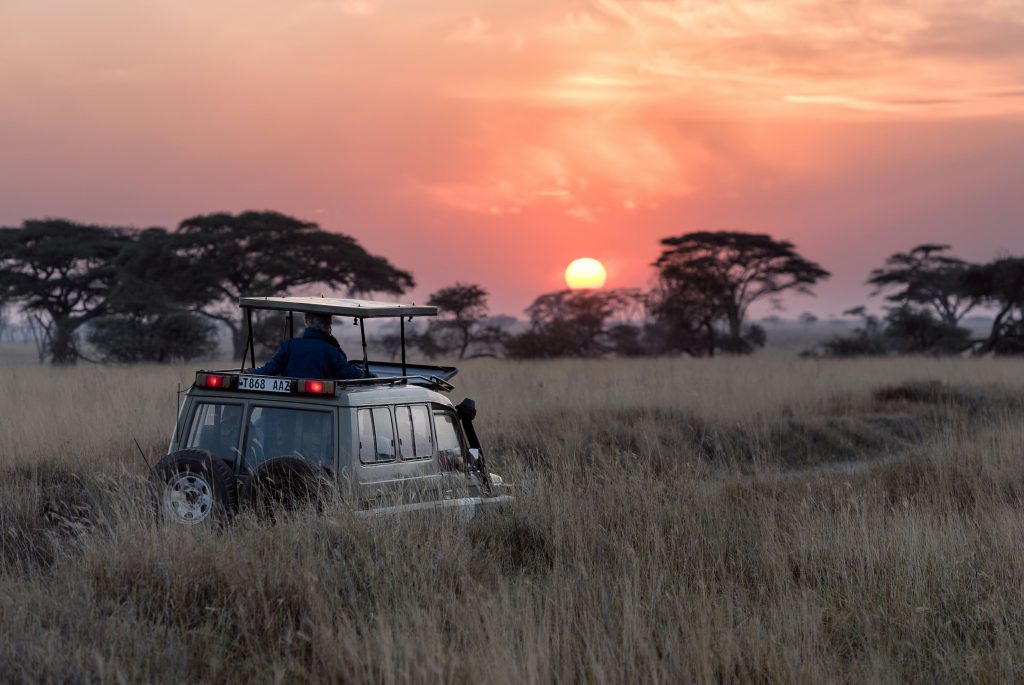 Sunset behind a safari vehicle | Wild Africa