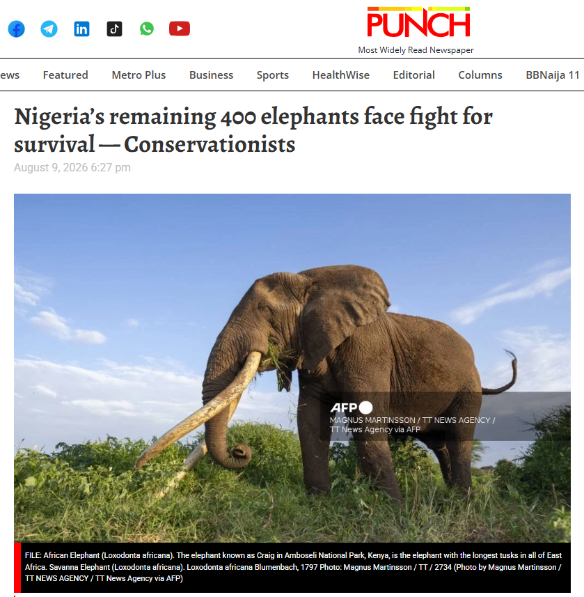 An article on elephants in Nigeria by Punch | Wild Africa