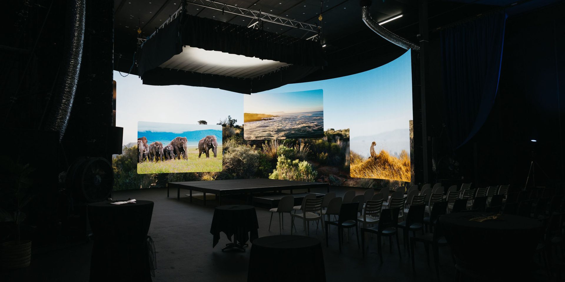 Wild Africa TV Series Launch